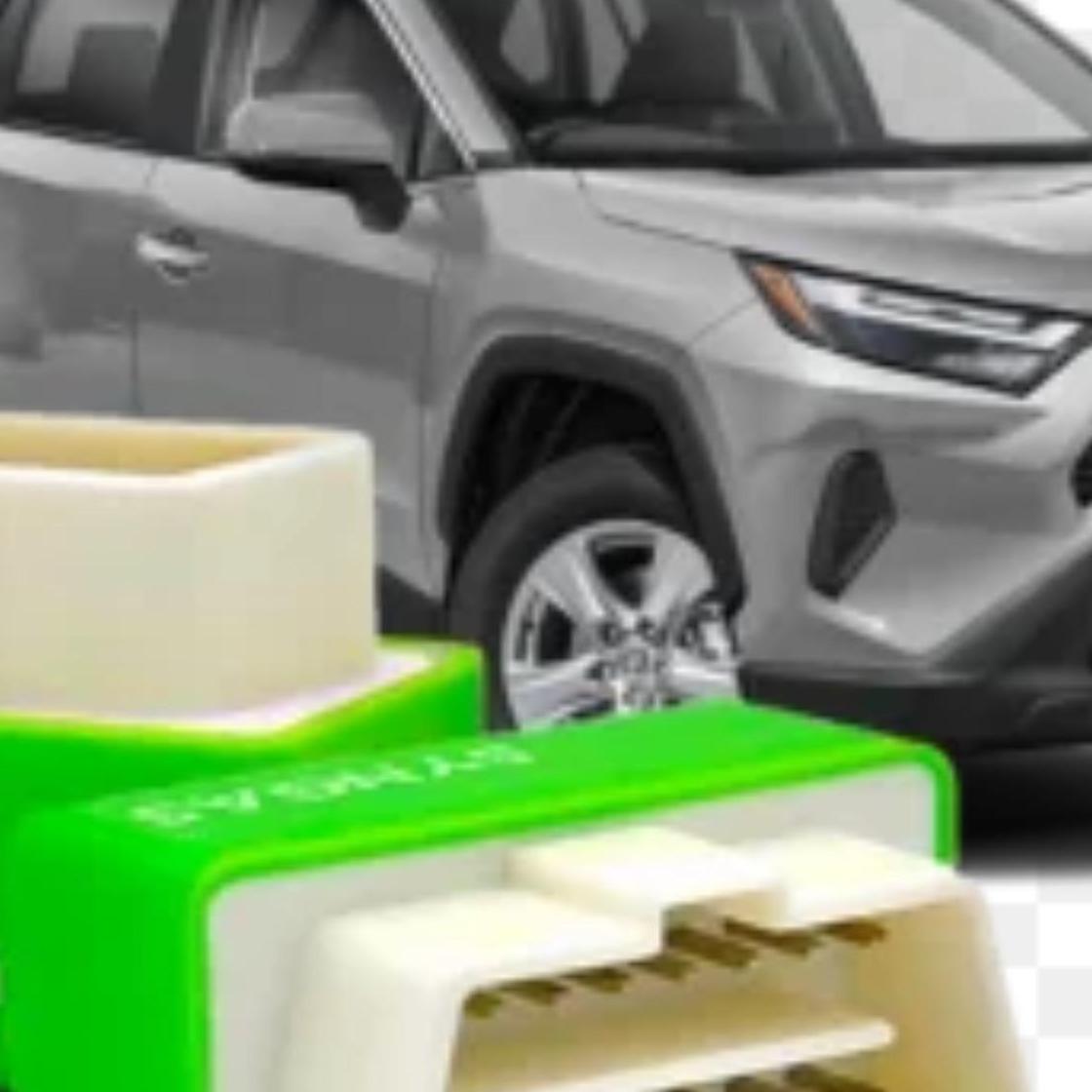 Synfdgdfgel Dgfdglia